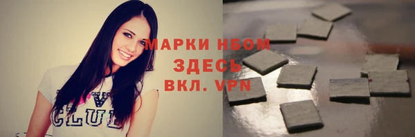 твердый Карпинск
