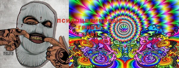 мяу мяу мука Карталы