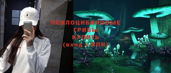 твердый Карпинск