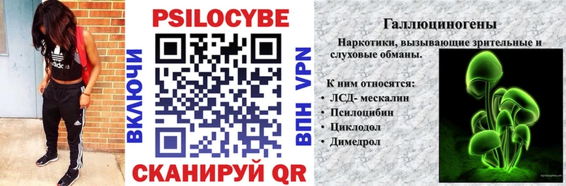 Псилоцибиновые грибы мицелий  как найти закладки  Козельск 